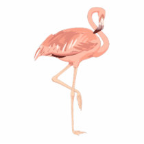 Freddy Flamingo photo sculptures by BisforBirds Freddy Flamingo photo sculptures