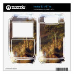 Frederic Edwin Church - Heart of the Andes Detail Nokia E71x Decal