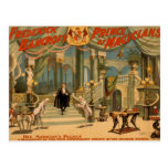 Frederick Bancroft, 'The Magician's Palace' Post Card