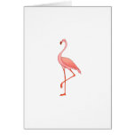 Frederick Flamingo Cards