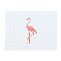 Frederick Flamingo postcards