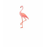 Frederick Flamingo Tee Shirt
