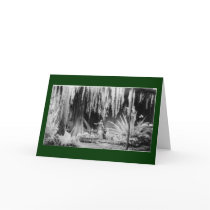Frederick & Nelson Christmas Window - Customized Greeting Cards
