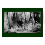 Frederick & Nelson Christmas Window - Customized Greeting Cards