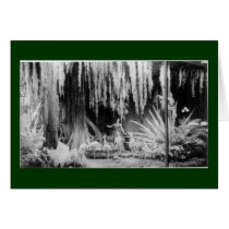 Frederick & Nelson Christmas Window - Customized cards
