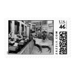 Frederick & Nelson Postage
