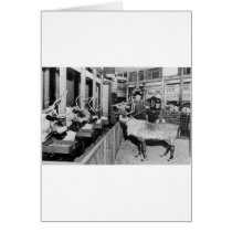 Frederick & Nelson Raindeer in the Window cards