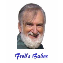 Fred's Babes t-shirts by CraigRagland Fred's Babes t-shirts