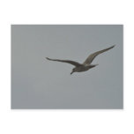 Free and clear post card