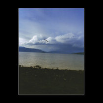 Free As A Bird (postcard)