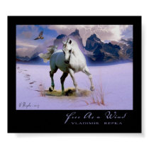 Free As A Wind posters
