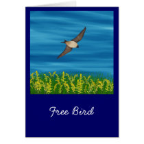FREE BIRD cards
