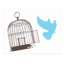 Free Bird Post Card