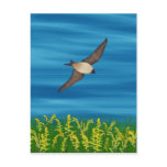 FREE BIRD POST CARD