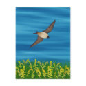 FREE BIRD postcards by PopsArt FREE BIRD postcards