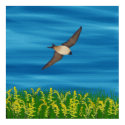 FREE BIRD posters