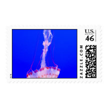 Free Fall Jellyfish Postage