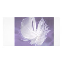 Free Falling photo cards