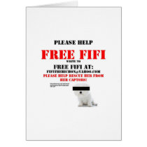 Free Fifi the Bichon Frise Greeting Cards