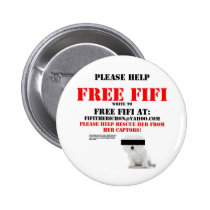 Free Fifi the Bichon Frise Pinback Button