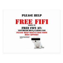 Free Fifi the Bichon Frise Postcards