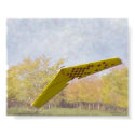 Free Flight posters by kevinleec Free Flight posters