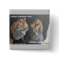 Free Guinea Pigs Pins