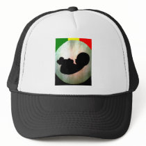 free hats