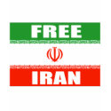 FREE IRAN Flag t-shirts
