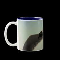 Free mugs