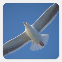 Free On Wings Square Sticker