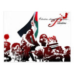 FREE PALESTINE POST CARDS