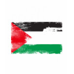 Free Palestine shirt