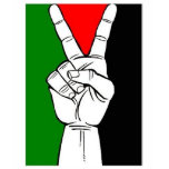 Free Palestine T-Shirt