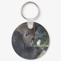 Free Poker Lessons keychains