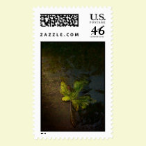 Free postage