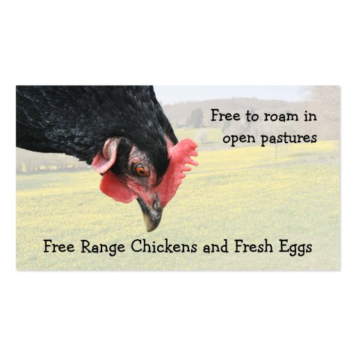 Free range chicken eggs business card (front side)