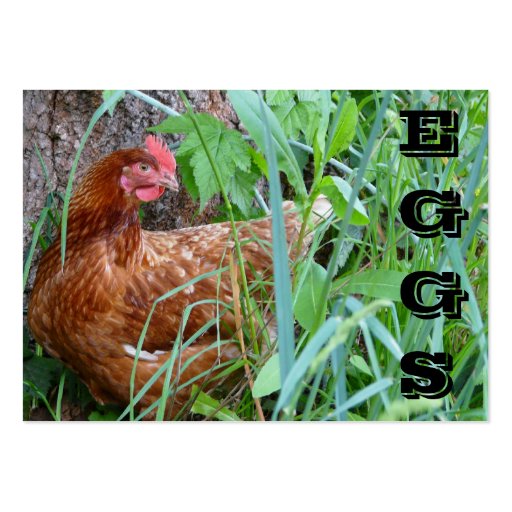 Free Range EGGS chicken business card
