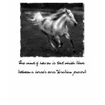 Free Range Joy by Sande Elkins Tshirts