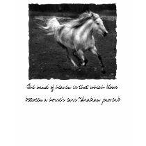 Free Range Joy by Sande Elkins t-shirts