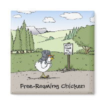 Free-Roaming Chicken magnets