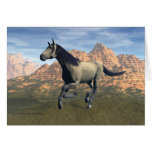 Free Spirit Card