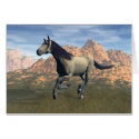 Free Spirit cards