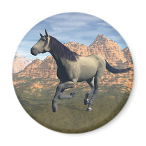 Free Spirit magnets