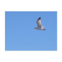 Free Spirit postcards by vicgal Free Spirit postcards