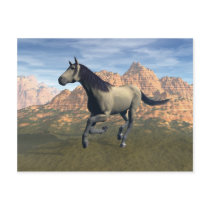 Free Spirit postcards