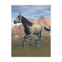 Free Spirit postcards