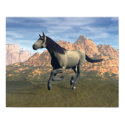 Free Spirit posters