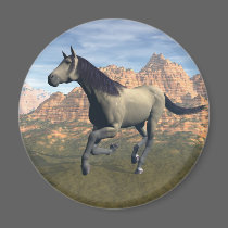 Free Spirit magnets