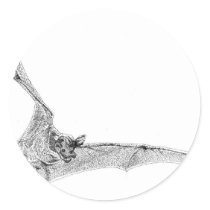 Free Tailed Bat stickers